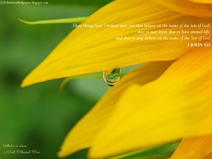 1 John 5:13 – Eternal Life Papel de Parede Imagem