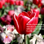 Matthew 6:30 – Faith in God Wallpaper Christian Background