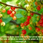 1 Corinthians 1:18 – Message of the Cross Wallpaper Christian Background