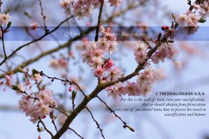 1 Thessalonians 4:3-4 – God’s Will Papel de Parede Imagem