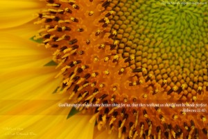 Hebrews 11:40 – God’s Plan Papel de Parede Imagem