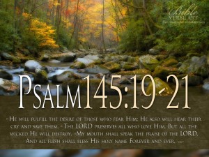 Psalm 145:19-21 – Speak in Praise Papel de Parede Imagem