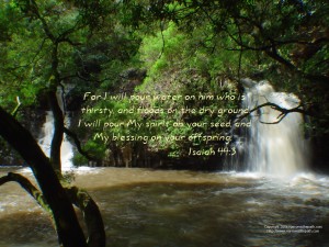 Isaiah 44:3 – Pour of Blessings Papel de Parede Imagem