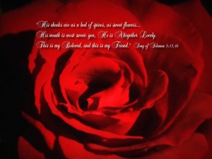 Song of Songs 5:13,16 – My Beloved and Friend Papel de Parede Imagem