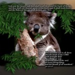 Job 12:7-10 – In The Hand of The Lord Wallpaper Christian Background