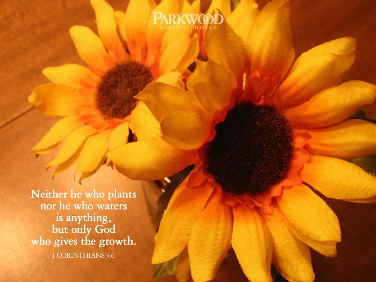 Christian wallpaper 1 Corinthians 3:6