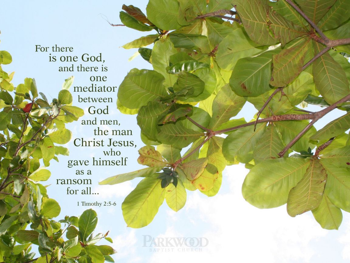 Christian wallpaper 1 Timothy 2:5-6