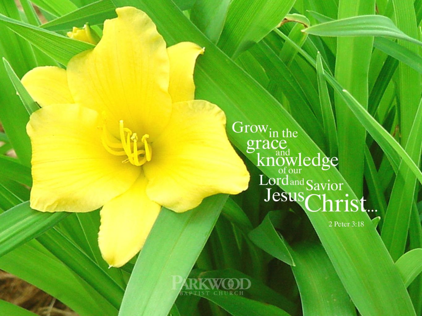 Christian wallpaper 2 Peter 3:18