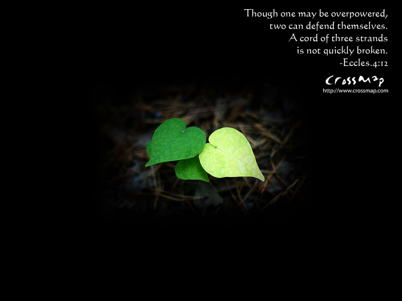 Christian wallpaper A Cord of Three