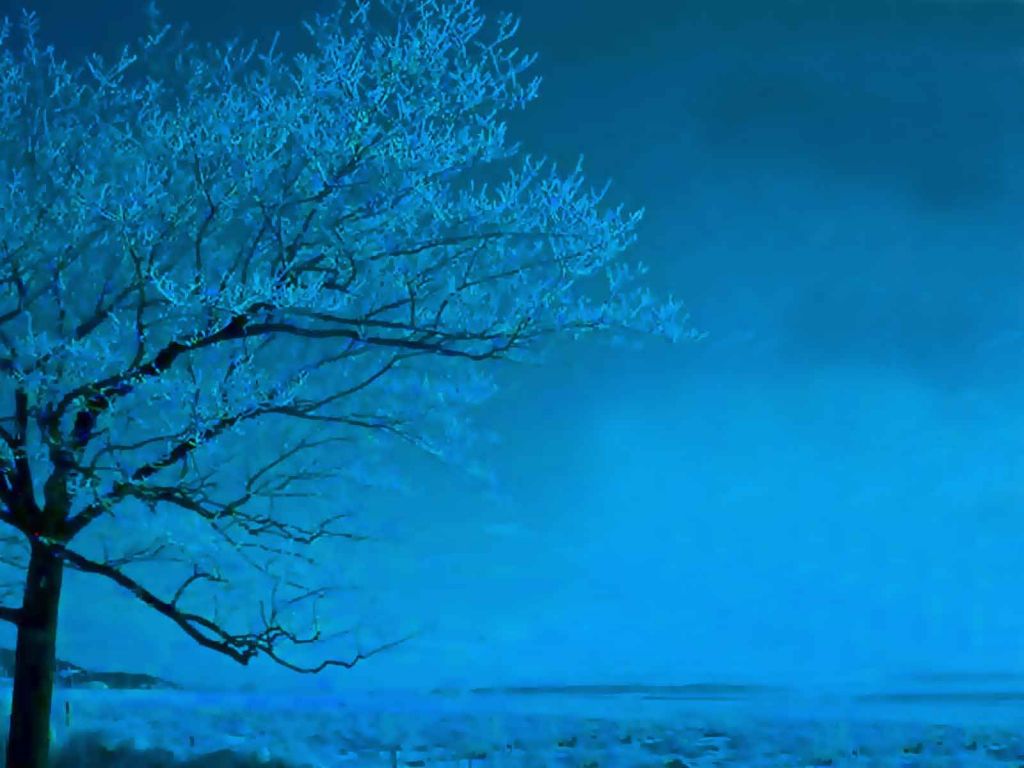 Christian wallpaper Blue tree