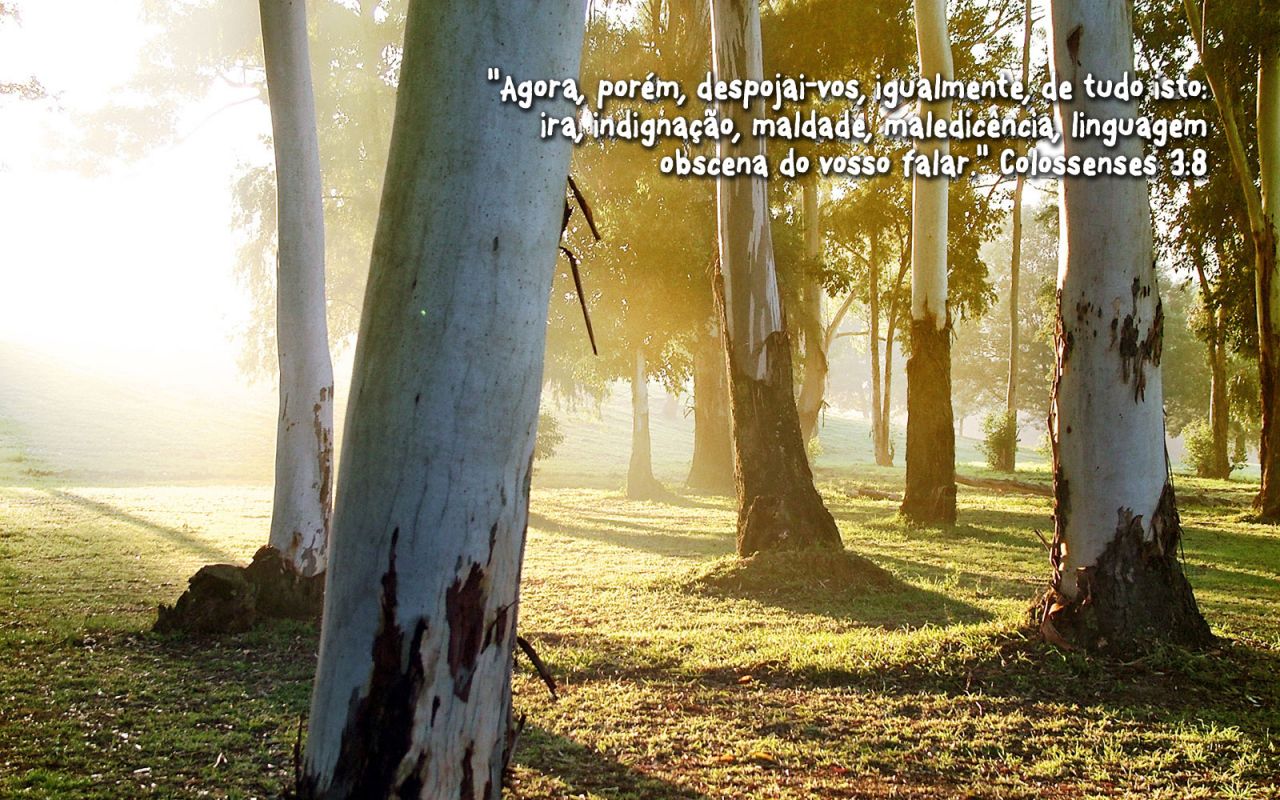 Christian wallpaper Colossians 3:8
