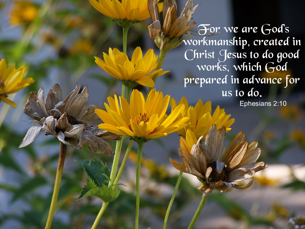 Christian wallpaper Ephesians 2:10