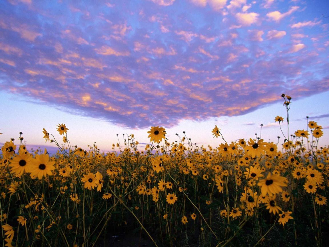 Christian wallpaper Heaven and Earth