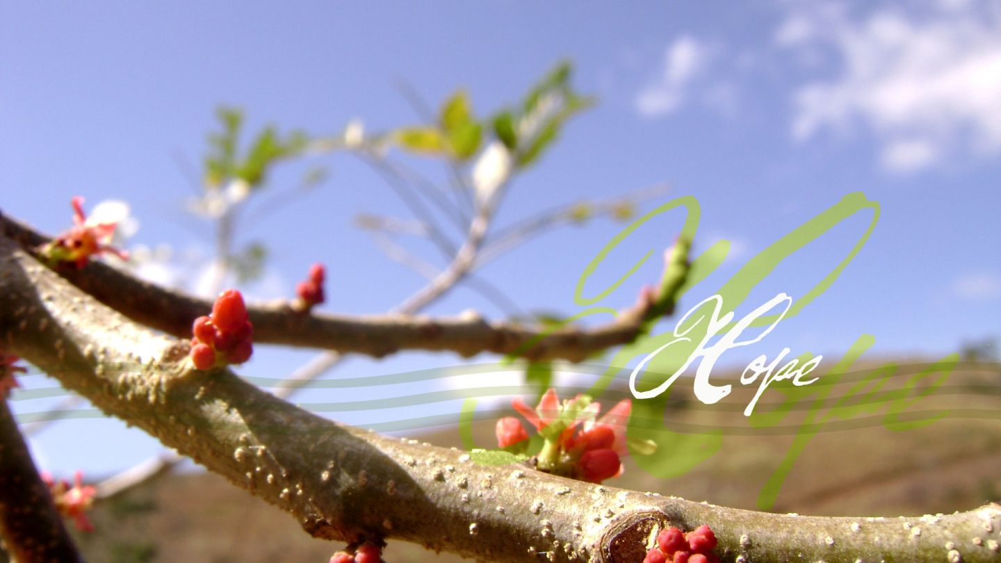 Christian wallpaper Hope