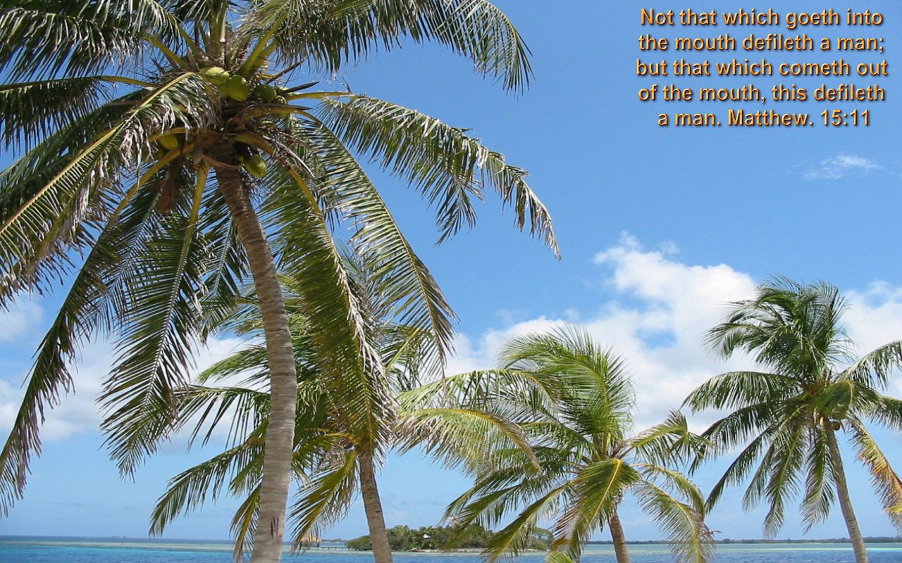 Christian wallpaper Isaiah 4:6