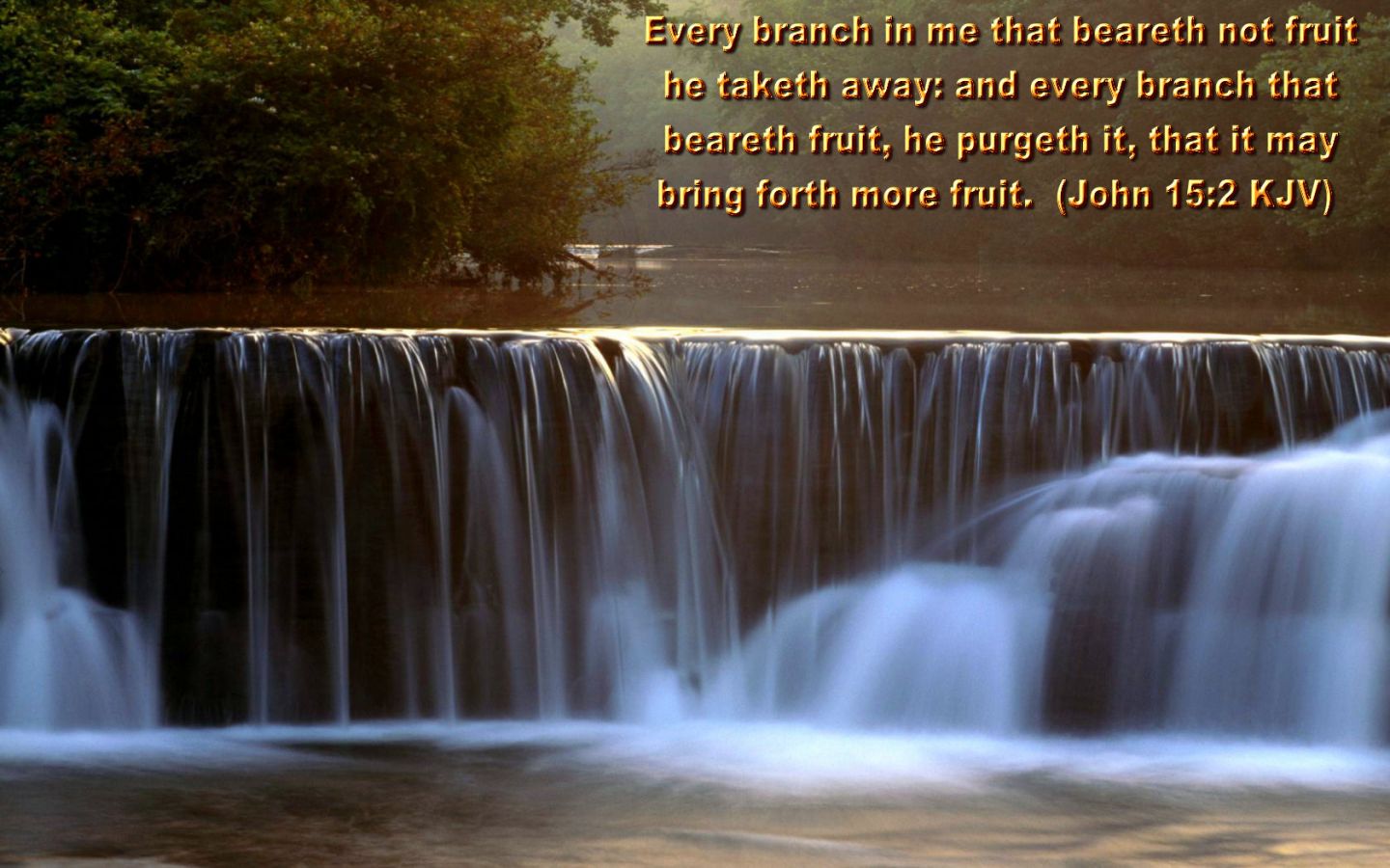 Christian wallpaper John 15:2