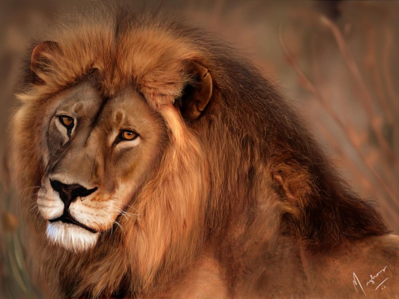 Christian wallpaper Lion.