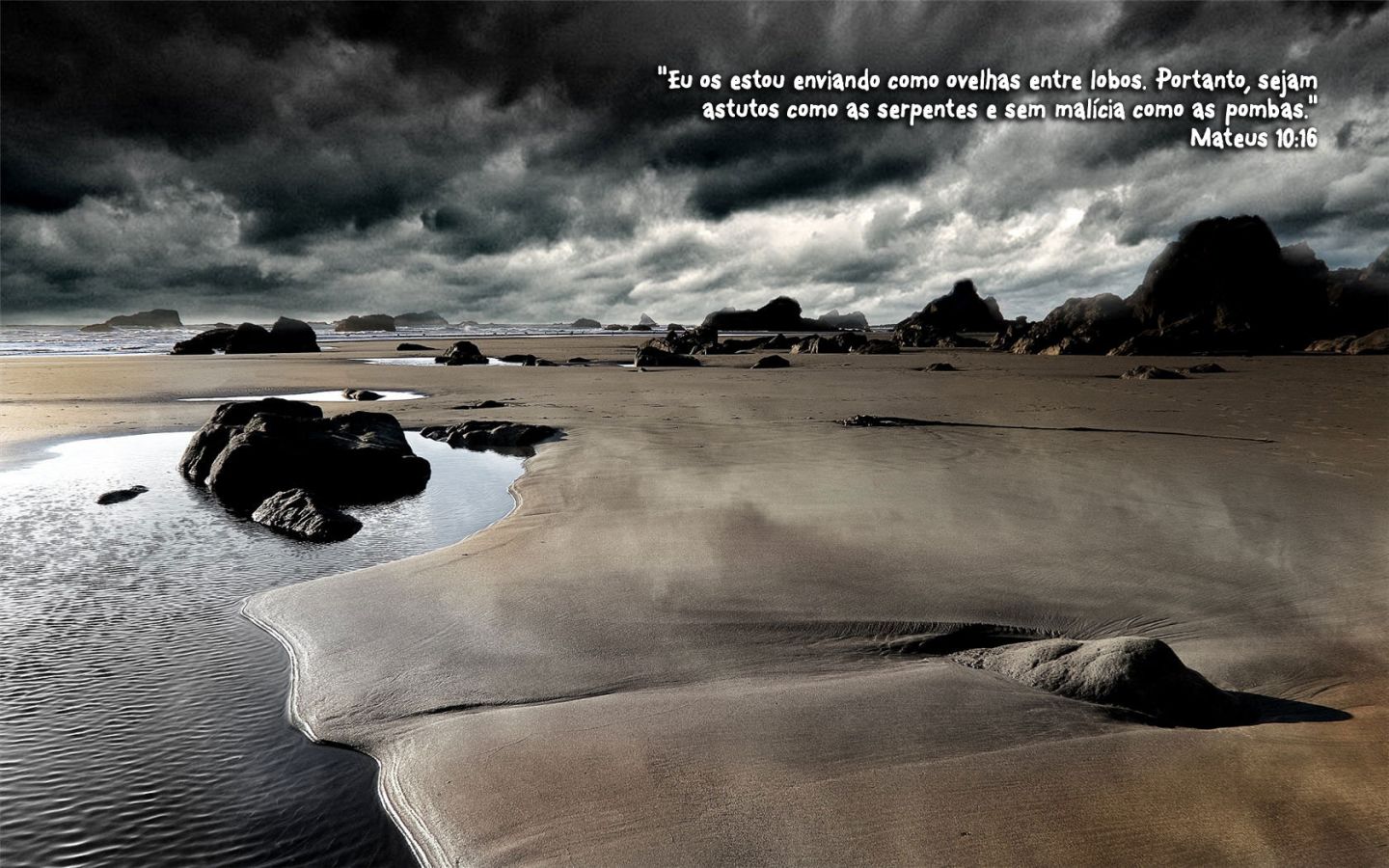 Christian wallpaper Matthew 10:16