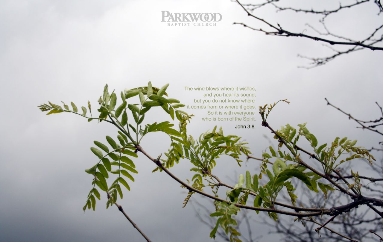 Christian wallpaper Matthew 28:18-20