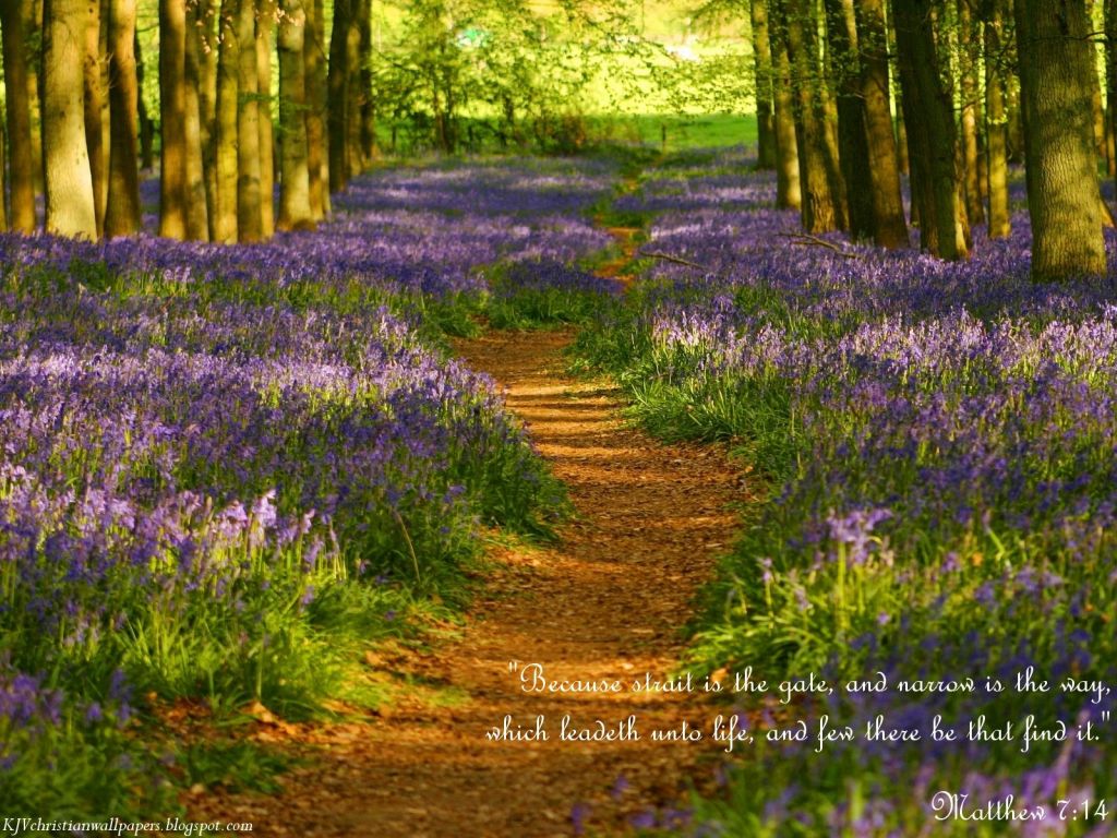 Christian wallpaper Matthew 7:14