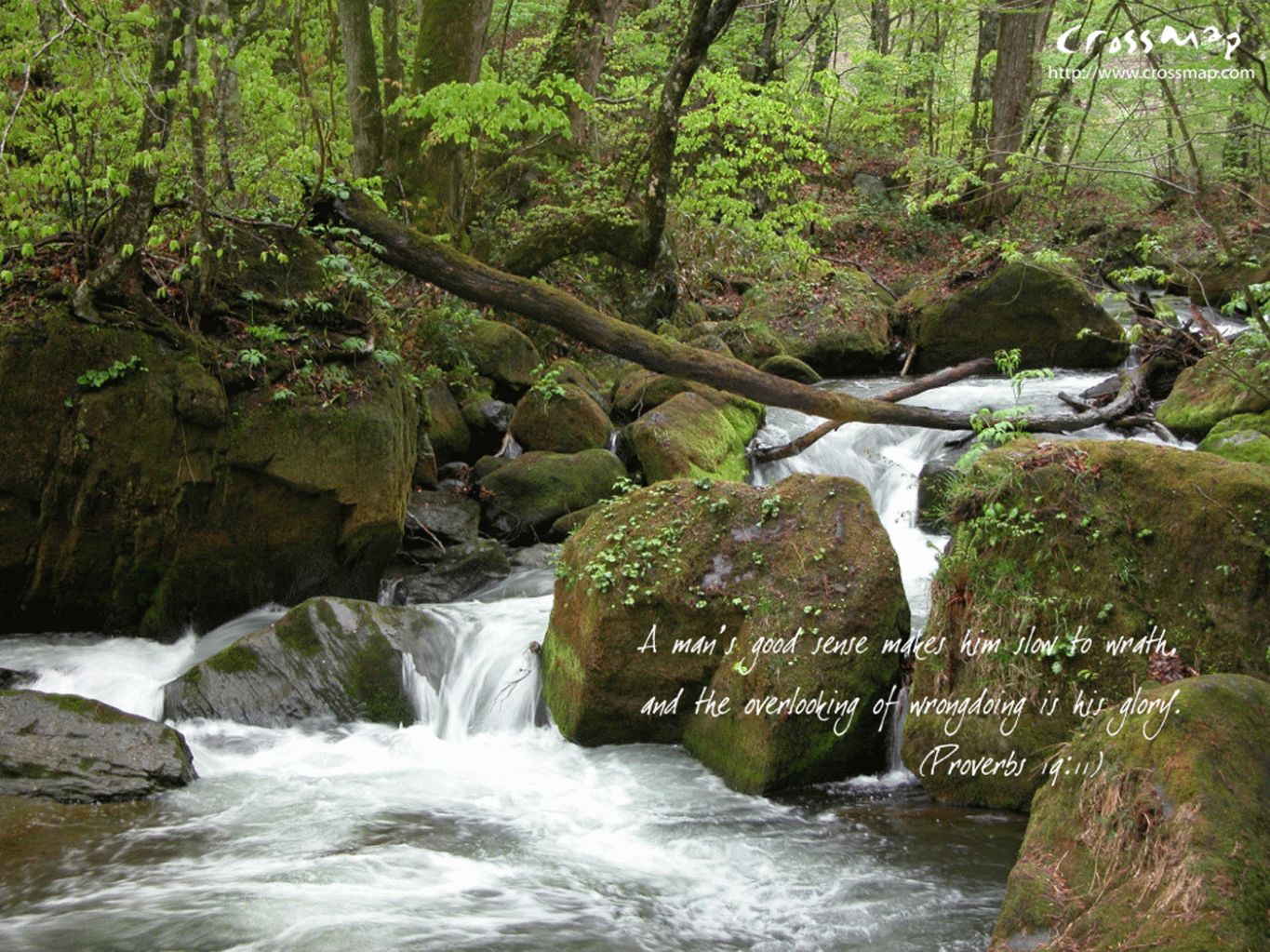 Christian wallpaper Proverbs 19:11