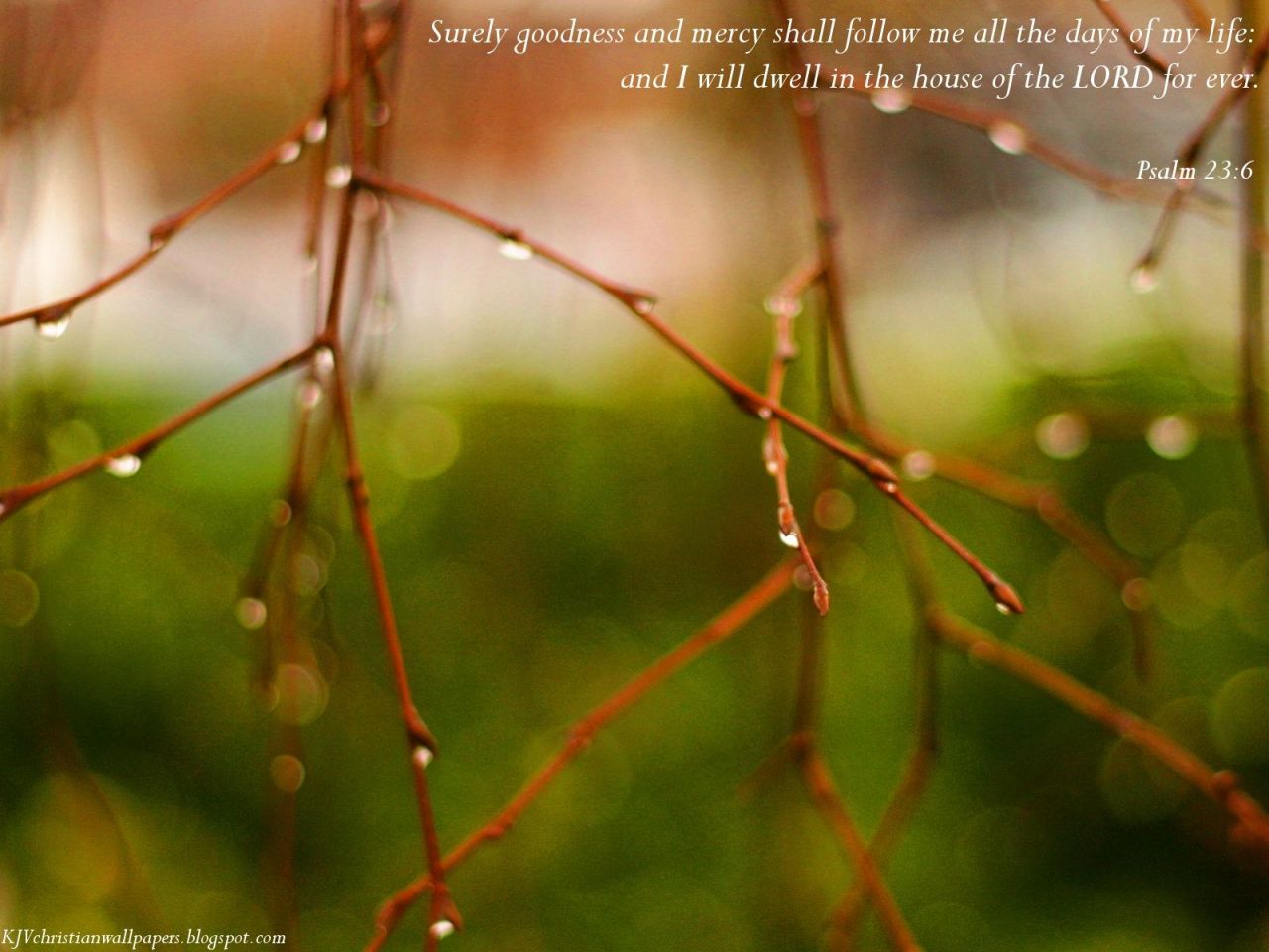 Christian wallpaper Psalm 23:6