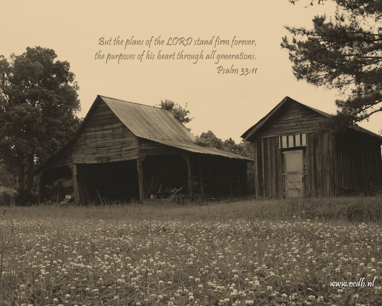 Christian wallpaper Psalm 33:11