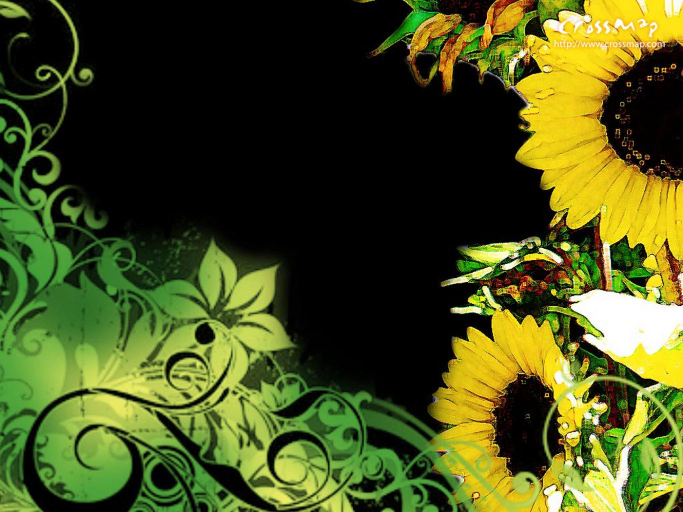 Christian wallpaper Sunflower