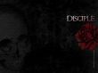 Details for the 'Discilpe rose' free image, background, wallpaper