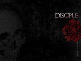 Discilpe rose christian wallpaper, christian background