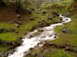 Details for the 'River green' free image, background, wallpaper