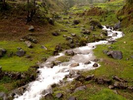 River green christian wallpaper, christian background