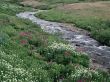 Details for the 'River' free image, background, wallpaper