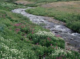 River christian wallpaper, christian background