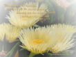 Details for the 'Matthew 5:7-8' free image, background, wallpaper