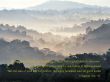 Details for the '2 Timothy 3:16-17' free image, background, wallpaper