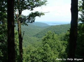 Ridge Trees christian wallpaper, christian background