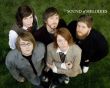 Details for the 'Leeland' free image, background, wallpaper