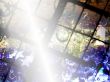 Details for the 'Rain window' free image, background, wallpaper