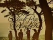 Details for the 'The Black Rose EP #1' free image, background, wallpaper