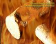 Details for the 'Jeremiah 23:29' free image, background, wallpaper
