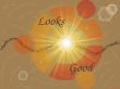 Details for the 'Looks Good' free image, background, wallpaper