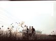 Details for the 'Jars of Clay' free image, background, wallpaper