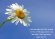 Details for the 'Psalm 104:33' free image, background, wallpaper