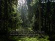 Details for the 'Paths of Light' free image, background, wallpaper