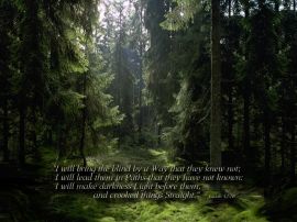 Paths of Light christian wallpaper, christian background