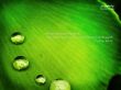 Details for the 'Spirit of God' free image, background, wallpaper