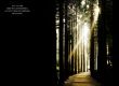 Details for the 'Light way' free image, background, wallpaper