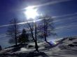 Details for the 'Light in the sky' free image, background, wallpaper