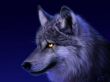 Details for the 'Lobe' free image, background, wallpaper